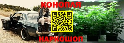 скорость Бердск