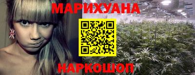 скорость Бердск