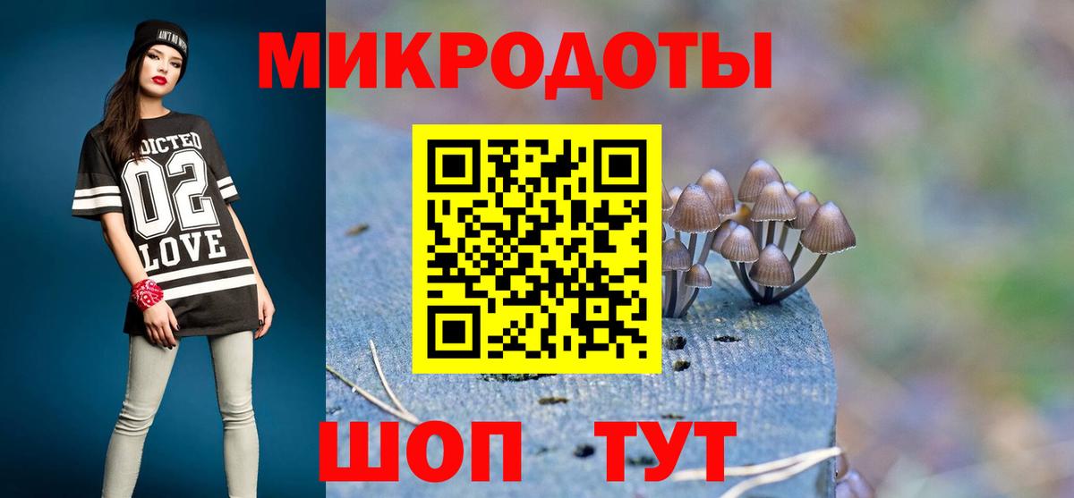 Галлюциногенные грибы Cubensis Карпинск