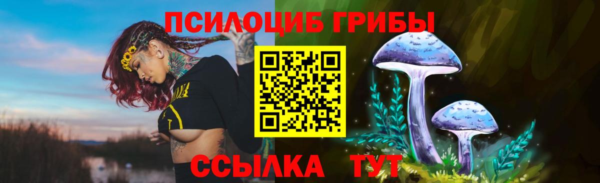 Карпинск  Галлюциногенные грибы GOLDEN TEACHER  Вход с VPN 